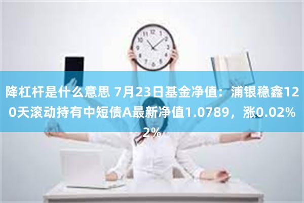 降杠杆是什么意思 7月23日基金净值：浦银稳鑫120天滚动持有中短债A最新净值1.0789，涨0.02%