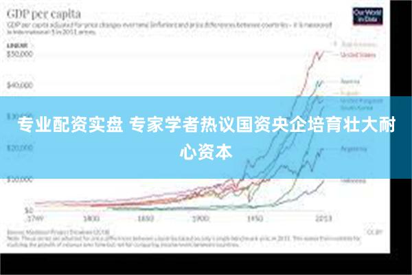 专业配资实盘 专家学者热议国资央企培育壮大耐心资本