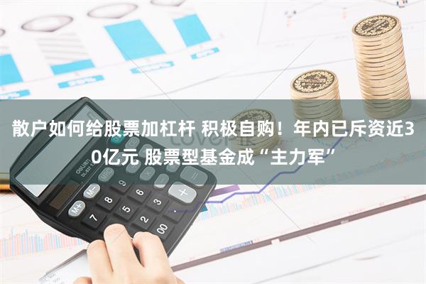 散户如何给股票加杠杆 积极自购！年内已斥资近30亿元 股票型基金成“主力军”