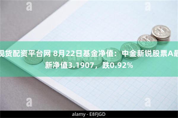 现货配资平台网 8月22日基金净值：中金新锐股票A最新净值3.1907，跌0.92%