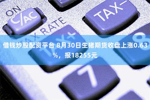 借钱炒股配资平台 8月30日生猪期货收盘上涨0.63%，报18255元