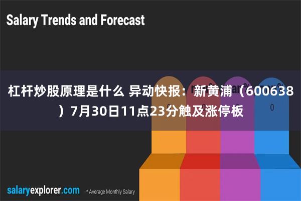 杠杆炒股原理是什么 异动快报：新黄浦（600638）7月30日11点23分触及涨停板