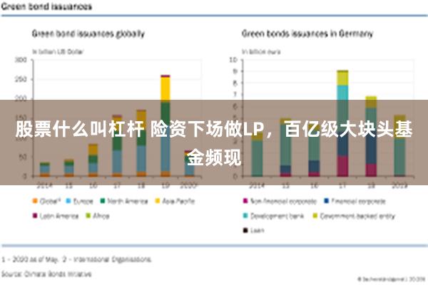 股票什么叫杠杆 险资下场做LP，百亿级大块头基金频现