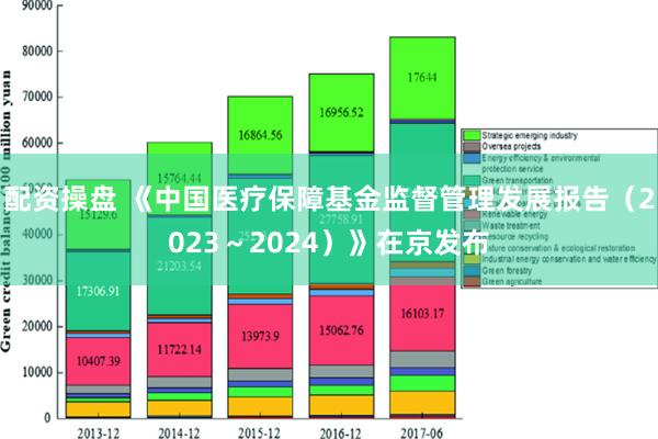 配资操盘 《中国医疗保障基金监督管理发展报告（2023～2024）》在京发布