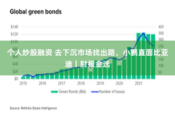 个人炒股融资 去下沉市场找出路，小鹏直面比亚迪丨财报金选