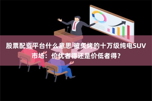 股票配资平台什么意思 被炙烤的十万级纯电SUV市场：价优者得还是价低者得？