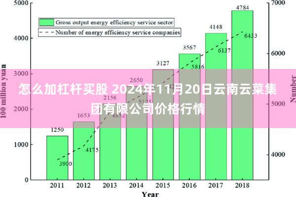 怎么加杠杆买股 2024年11月20日云南云菜集团有限公司价格行情