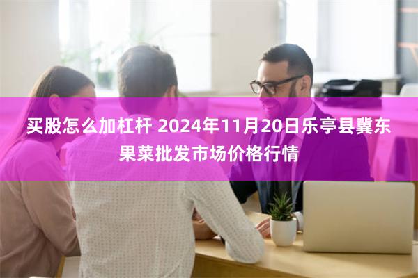 买股怎么加杠杆 2024年11月20日乐亭县冀东果菜批发市场价格行情