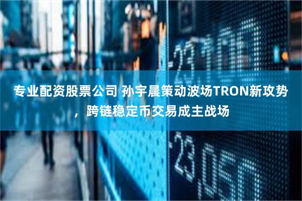 专业配资股票公司 孙宇晨策动波场TRON新攻势，跨链稳定币交易成主战场