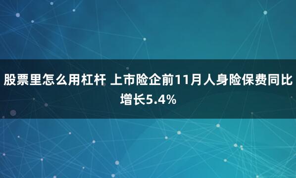 股票里怎么用杠杆 上市险企前11月人身险保费同比增长5.4%