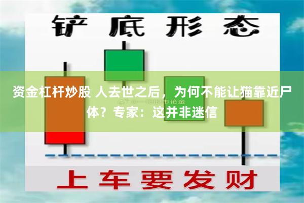 资金杠杆炒股 人去世之后，为何不能让猫靠近尸体？专家：这并非迷信